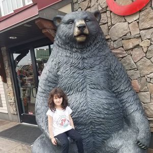 Meet your Posher, Sandy